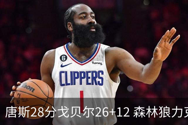 唐斯28分戈贝尔26+12 森林狼力克黄蜂4连胜